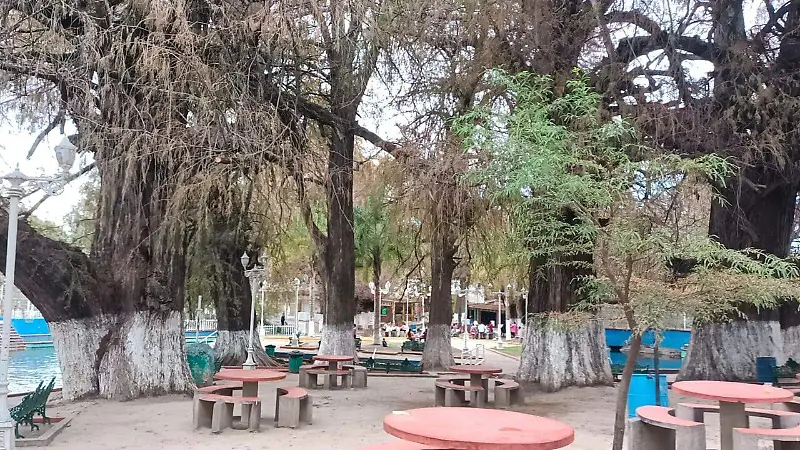 Ven a nadar al manantial de aguas cristalinas de Tarandacuao